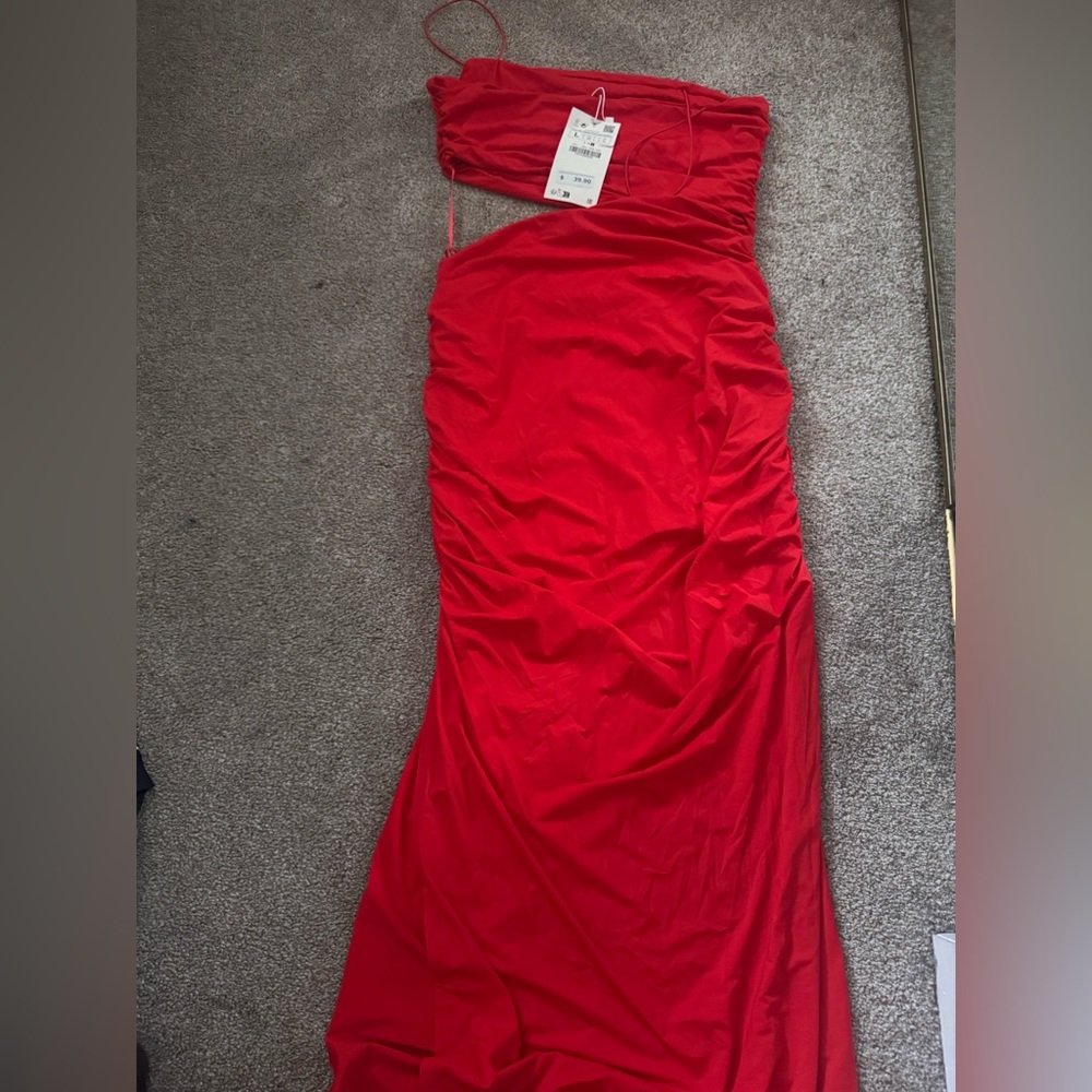 Brand new Zara dress size large